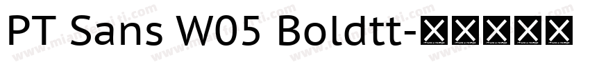 PT Sans W05 Boldtt字体转换